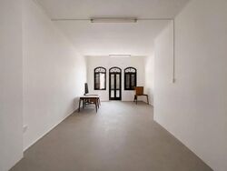 Geylang Conservation Area (D14), Shop House #618128621
